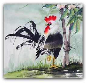 rooster